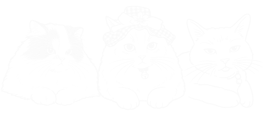 Ilustrasi tiga kucing